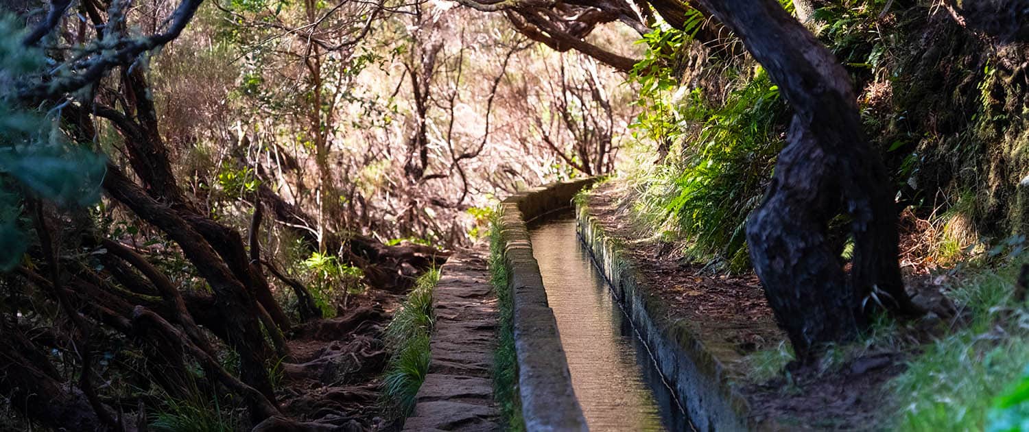 Madeira Island Adventure - Portugal Nature Trails