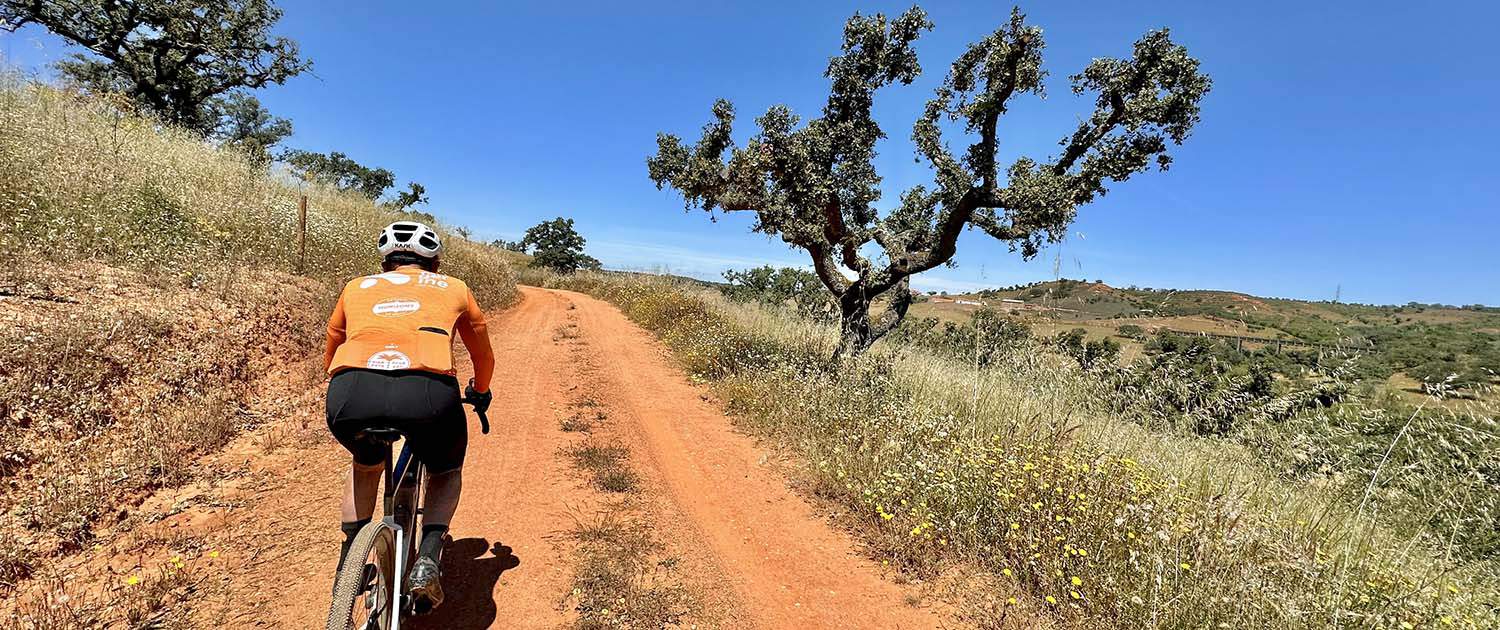 Alentejo Gravel Bike & Wine