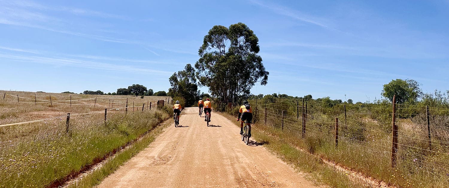 Alentejo Gravel Bike & Wine
