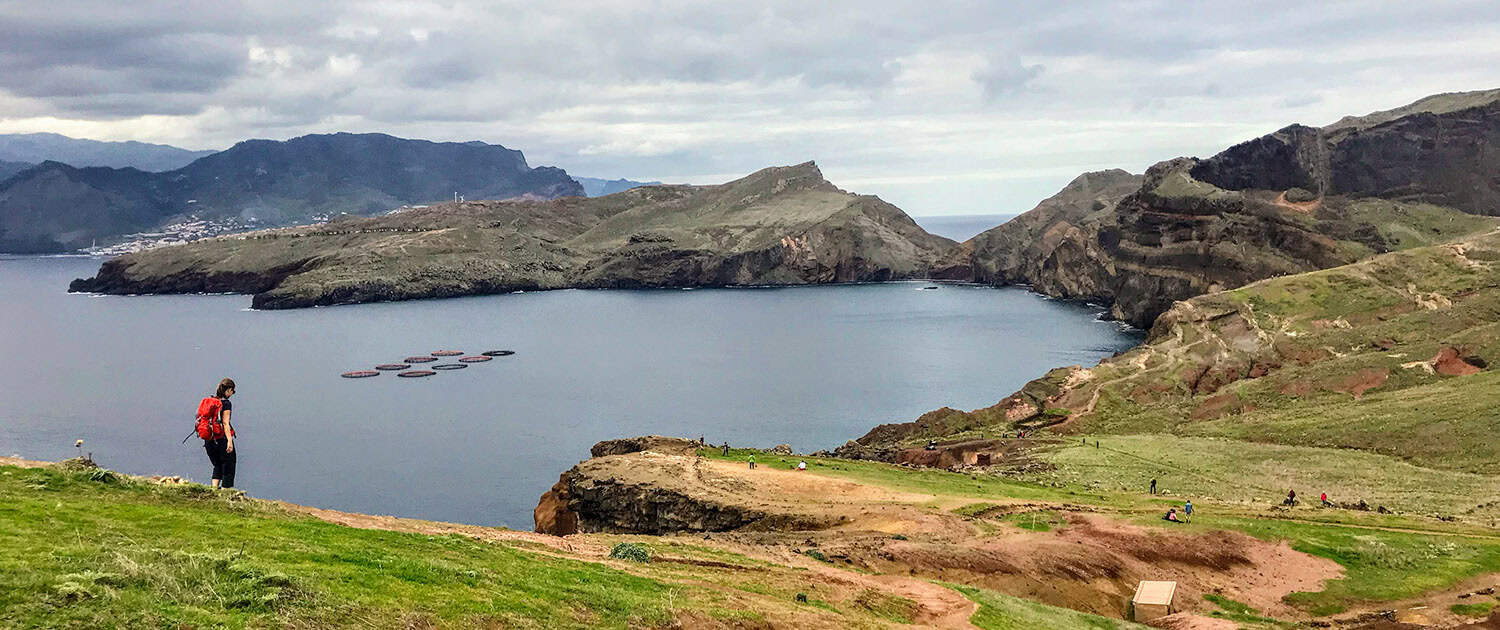 Madeira Hiking Premium