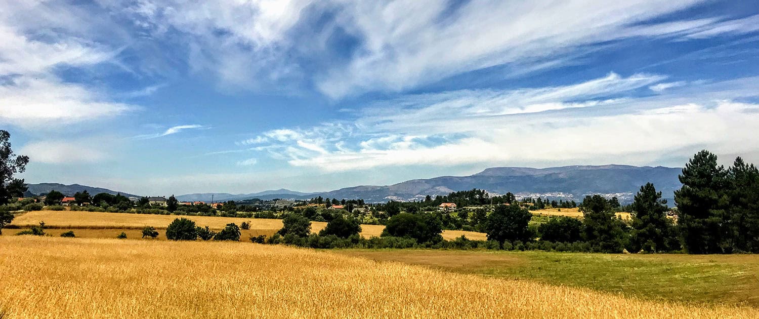 Historical Villages & the Douro Valley
